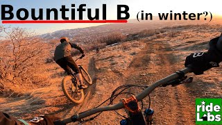 Bountiful B in winter?