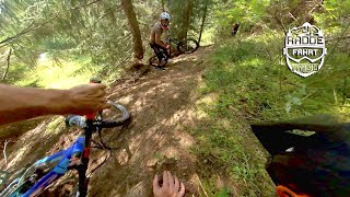 2020 Portes du Soleil - Letzter Tag, guter Tag...