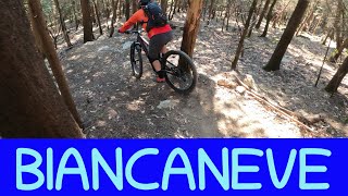 MTB Travalle Poggio Uccellaia 12.02.2022...