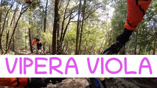MTB Travalle Calvana 12.02.20221 sentiero...
