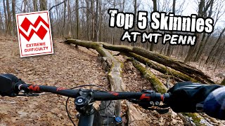 Top 5 expert level skinnies at Mt Penn in...