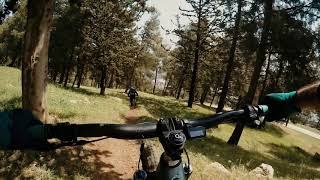 SHIT HAPPENS | MANARA DOWNHILL | ISRAEL | YETI...