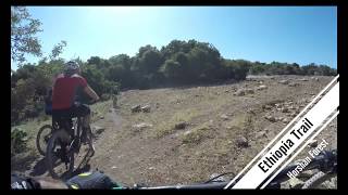 ethiopia trail in horshan