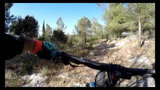 יער חורשים mtb in israel with yeti...