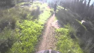 mtb israel פילויים ועוד...
