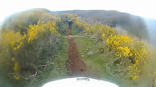 Vacas - Madeira Trails 2021