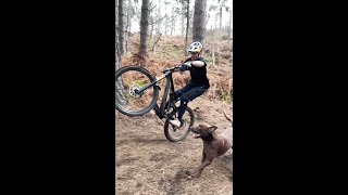 Trail Dog Goals Right Here 