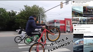 IS THIS A FLASHMOB!!?