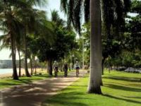Get to the Paluma Push...Stay to enjoy the...