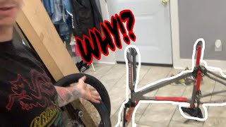 WHY DID I DO THIS TO MY BEASTMODE!?