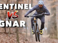 Transition Sentinel V2 first impressions.