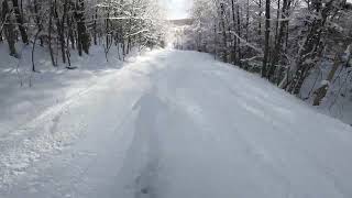 old south glades