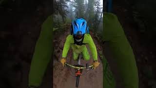 Revelstoke Mountain Resort: Bagful of Boogie...
