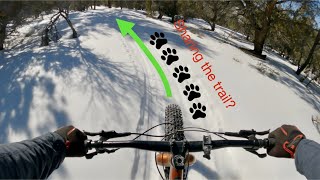 Fat tires and big tracks