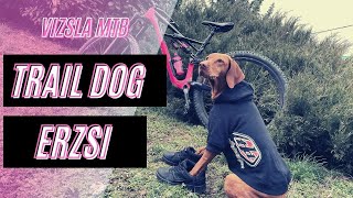 Árpád enduro