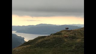 Arnanipa Enduro