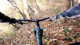 Monte Scalutta Porzus DH