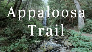 Appaloosa Trail-Best route to Hidden Falls.