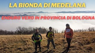 La Bionda - Medelana