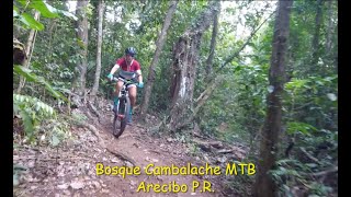 MTB Bosque Cambalache