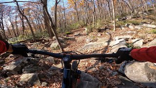 Leaf Surfing Rock Hopping at Deep Creek