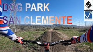 First Time at Dog Park - San Clemente