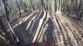 Bike Park il Falchetto - I castagni