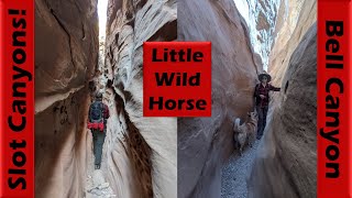 Slot Canyon Hiking in Little Wild Horse and...