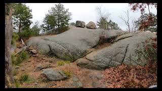 Lost at Lynnwoods