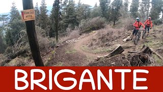 MTB Monte Morello 26.02.2022 sentiero BRIGANTE