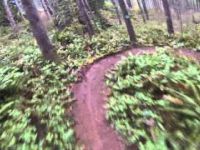 Little Larch Mountain Trail 4-5-14 in the wet....