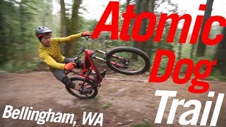 Atomic Dog Trail on Galbraith Mountain |...
