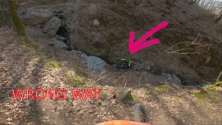 MTB Marzo 2021 - Pineta, e altri trail a caso