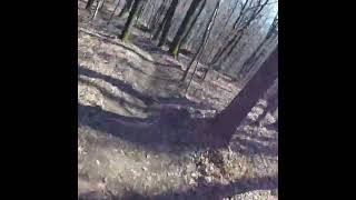 Race run from half way the trail