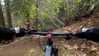 MTB Savona, Konca Verde - Ciuto Express