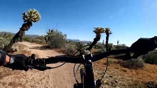Tech Loop at McDowell Mountain Park