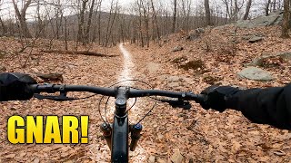 Fast Tech Trails at Wildcat Ridge NJ   Trek...
