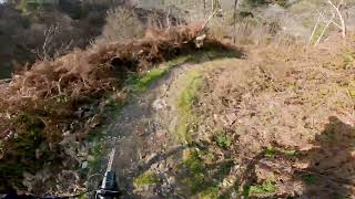 Pistino di Teneri - Camaiore Trail Area