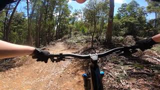 Gnavarna - Wild Mersey Tasmania
