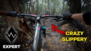 Te Ara Koa | Nelson's Longest Singletrack?