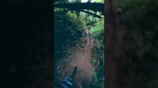 Sliding down hills in Oaxaca during the Pearl...