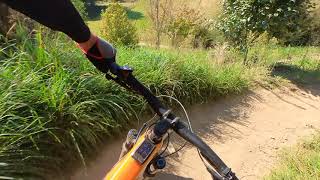 Omega - Silvan Forest MTB Park Nelson
