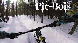 PIC-BOIS highlights//Le Harfang//2022