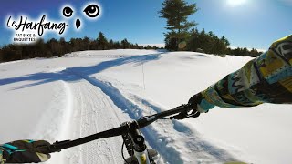 Le Harfang Winter fat biking// Gatineau...