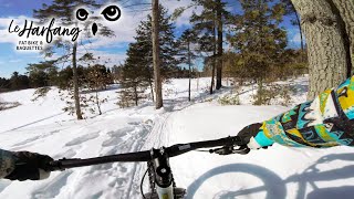 Le Harfang Winter fat biking// Gatineau...