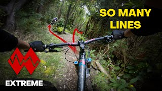 FDH | Nelson's High Speed Downhill Track