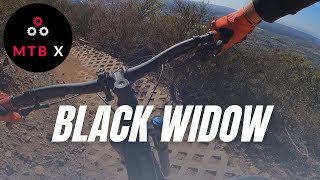 Black Widow! A Black Mountain MTB Trail