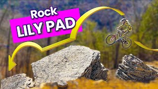 Looking for Something Gnarly? Go Here!