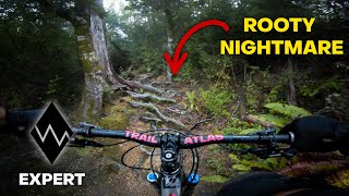 Sunrise Ridge (West) | More Roots than Dirt?