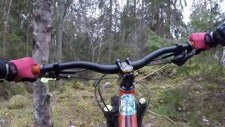Swedish MTB Trail - Slammer Hill